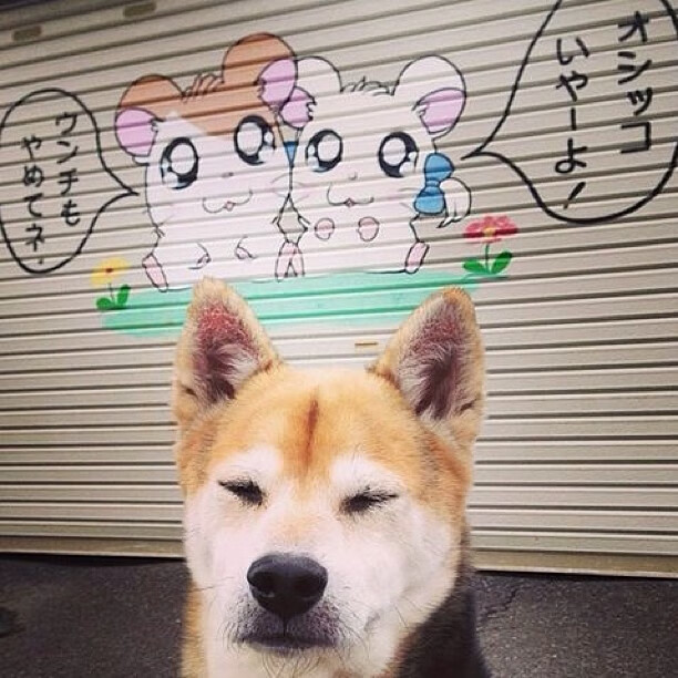 各大联赛角逐：争冠、保级、欧战席位谁笑谁输？，五大联赛欧战积分排名更新