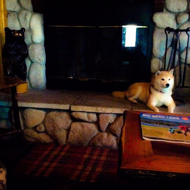 智能化运动评估系统在校园中的部署研究,运动智能概述